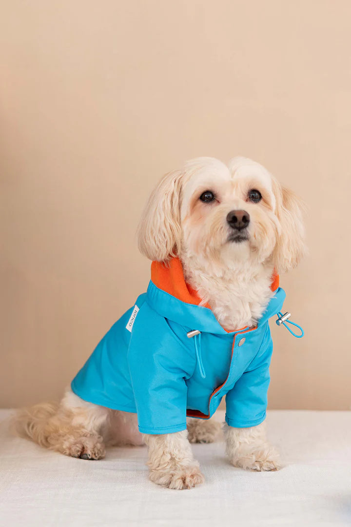 Torino Bright Köpek Yağmurluk - Mavi