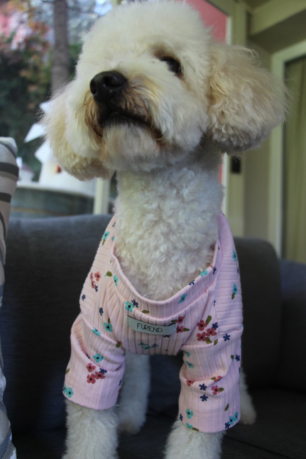 FUREND PINK FLORAL DOG T-SHIRT