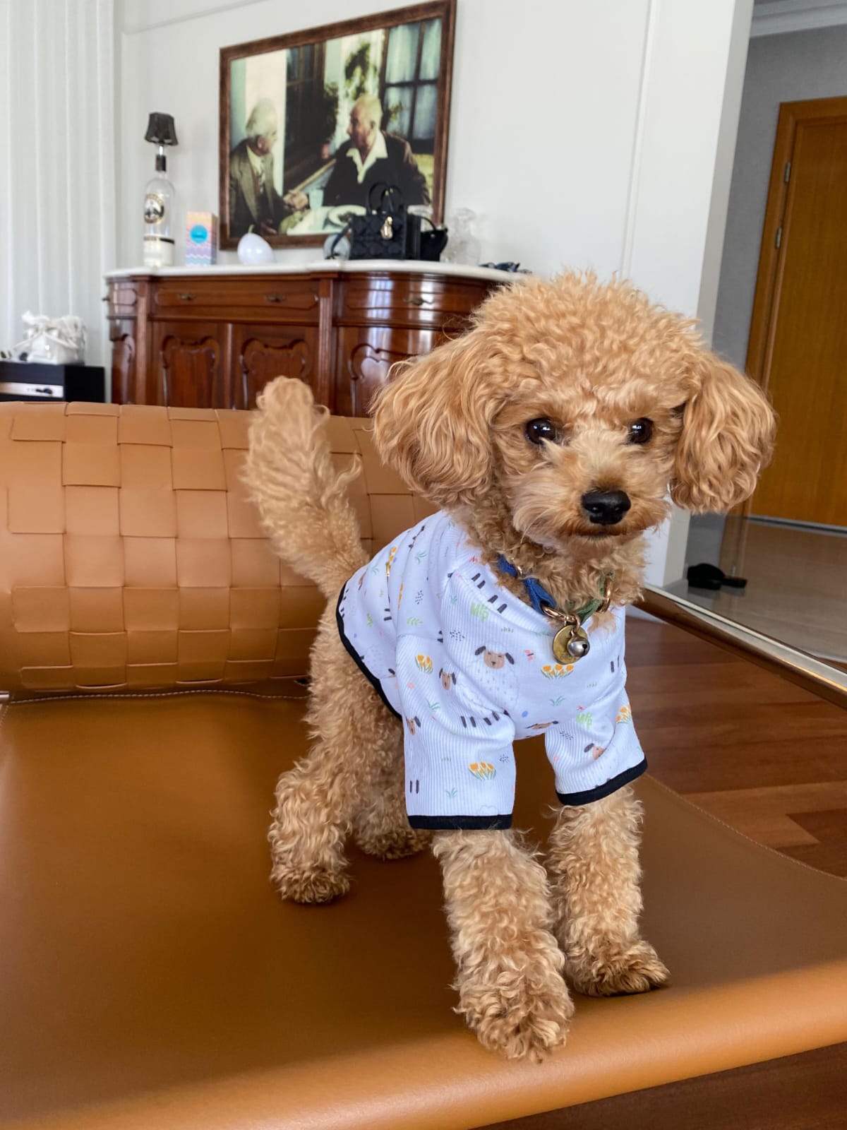 MY PETIT PAW LAMB DOG T-SHIRT