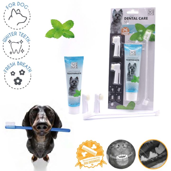M-PETS MINT TOOTHPASTE + BRUSH SET FOR DOGS