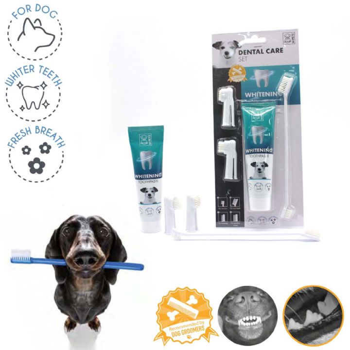M-PETS WHITENING TOOTHPASTE + BRUSH SET FOR DOGS