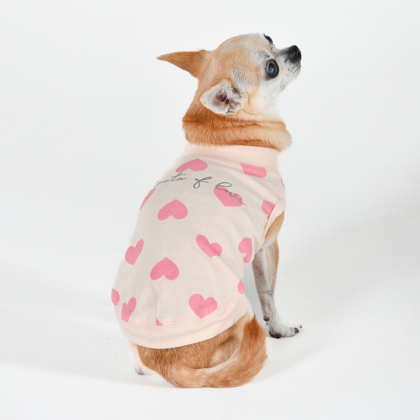 OLCHI SONATA OF LOVE PINK