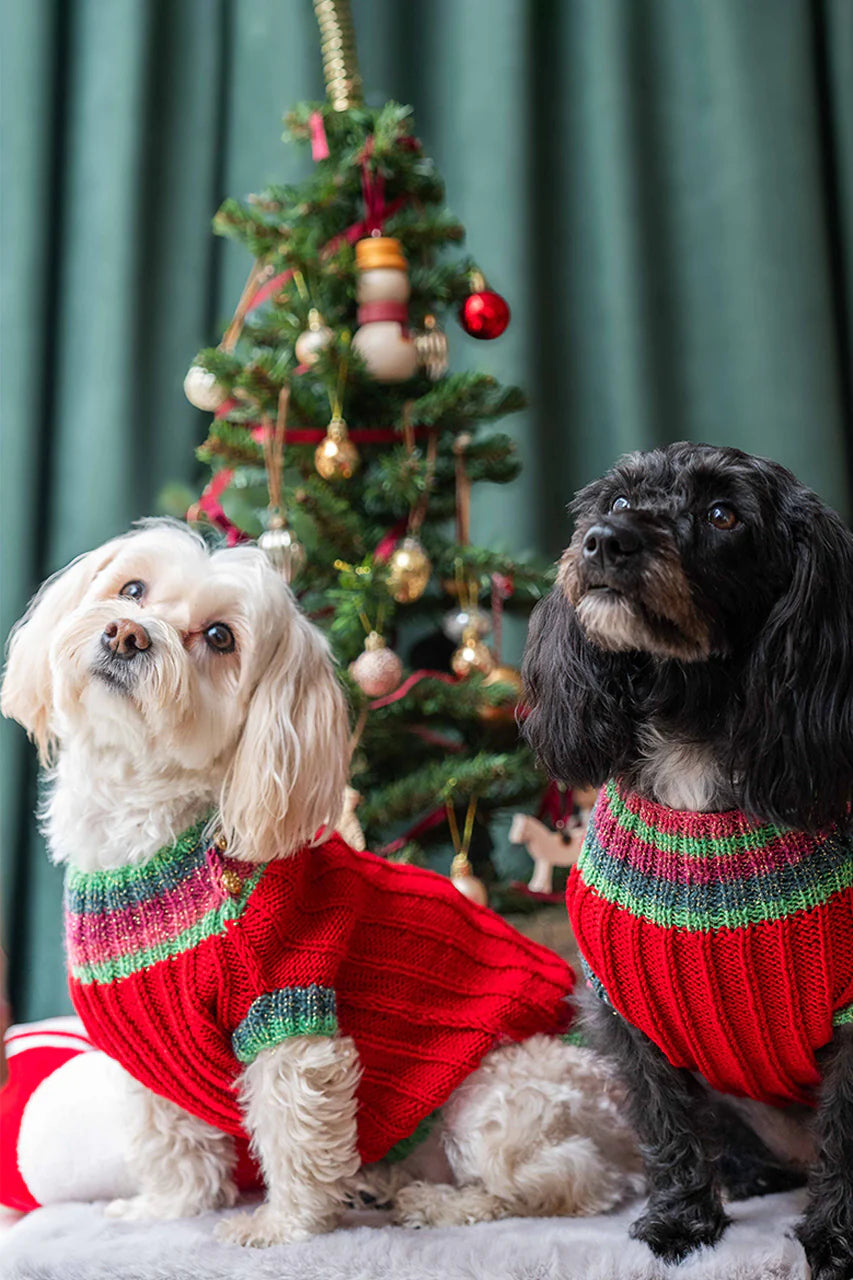 LORICO KLAUS DOG SWEATER