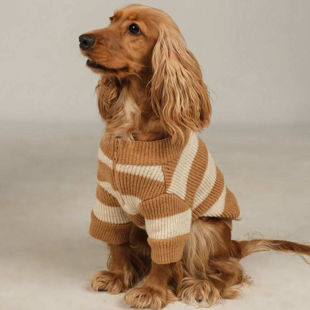 Dalton Brown Ecru Striped Dog Sweater