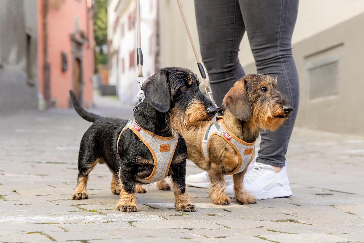 CURLI ALPINE CURLI CLASP VEST KÖPEK HARNESS LIGHT GRAY