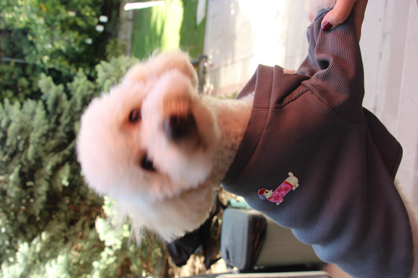 FUREND GRAY DOG T-SHIRT