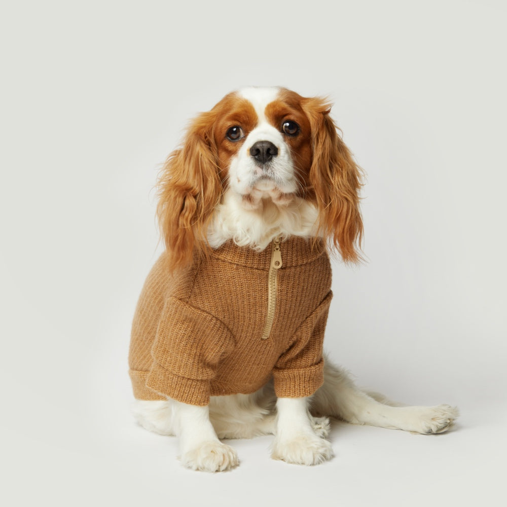 Basic Beige Knit Dog Sweater