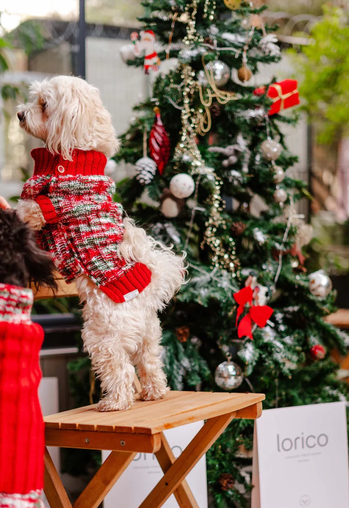 Santa Dog Sweater