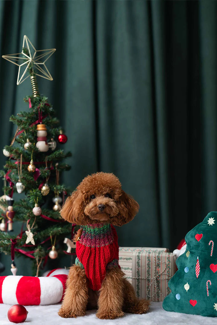 LORICO KLAUS DOG SWEATER