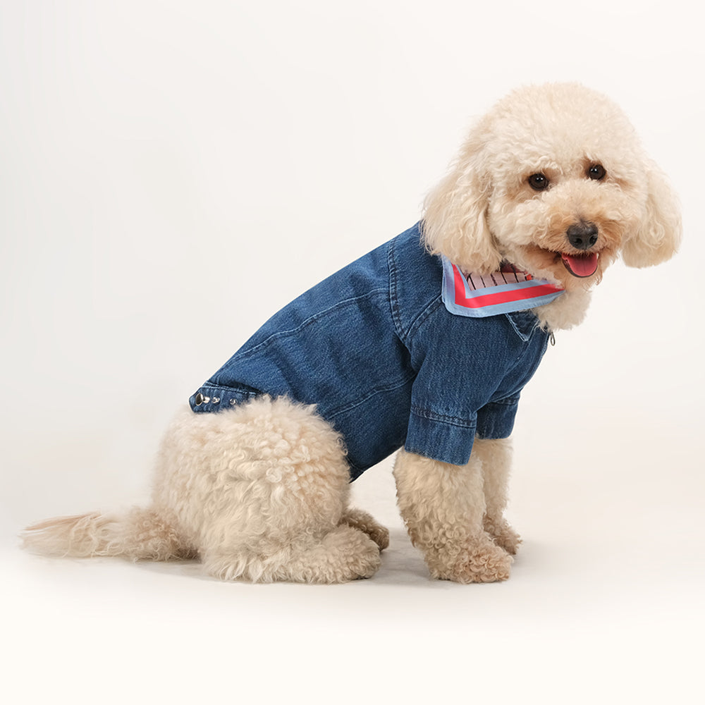 Rompy Denim Dog Jacket