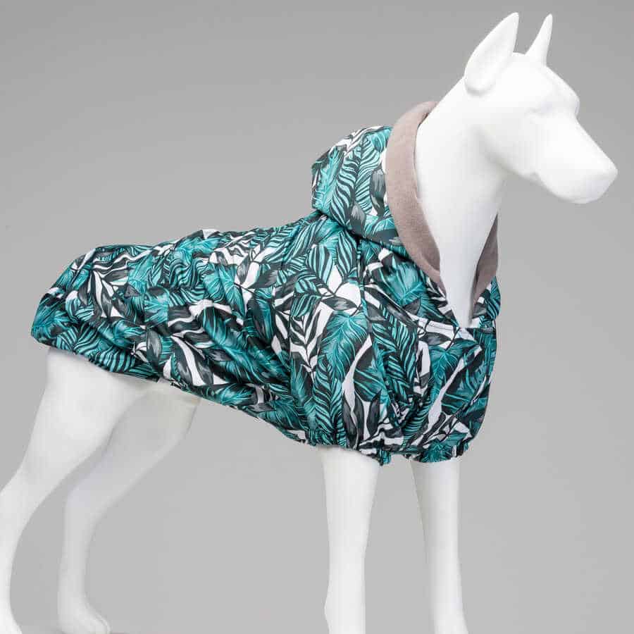 AQUA BLACK DOG COAT