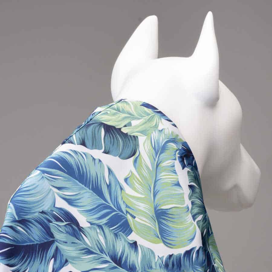 AQUA HOODED NET DOG RAINCOAT