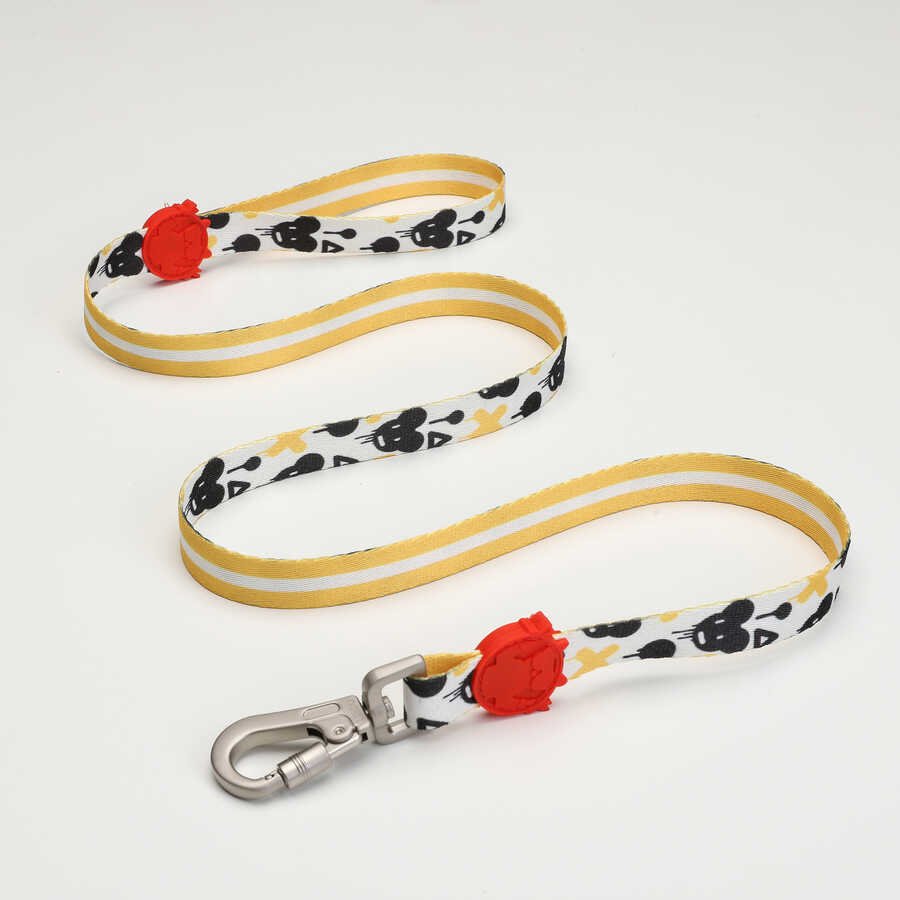 Bad Mouse Dog Leash