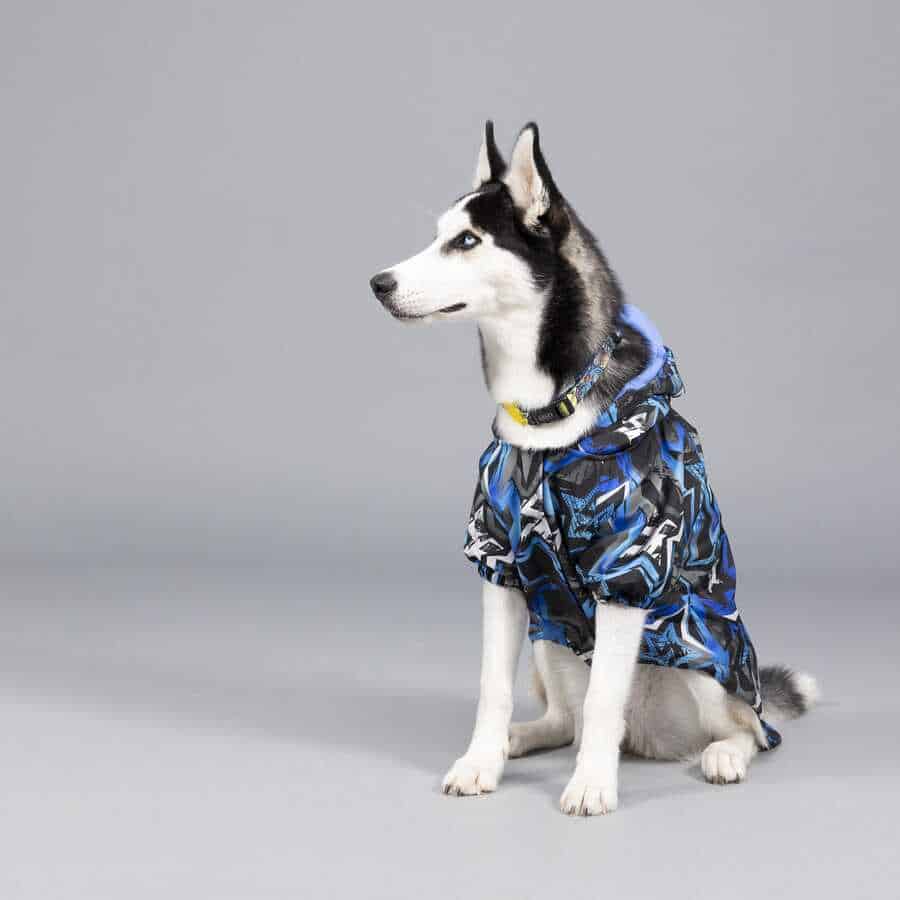 BLUE STAR DOG COAT