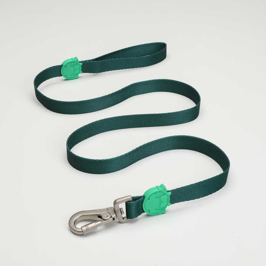 Brazil Dog Walking Collar