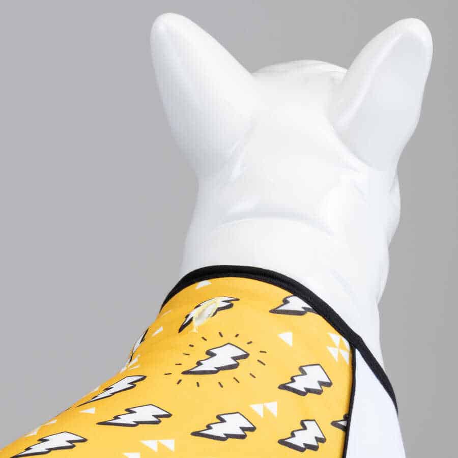 FLASH DOG T-SHIRT