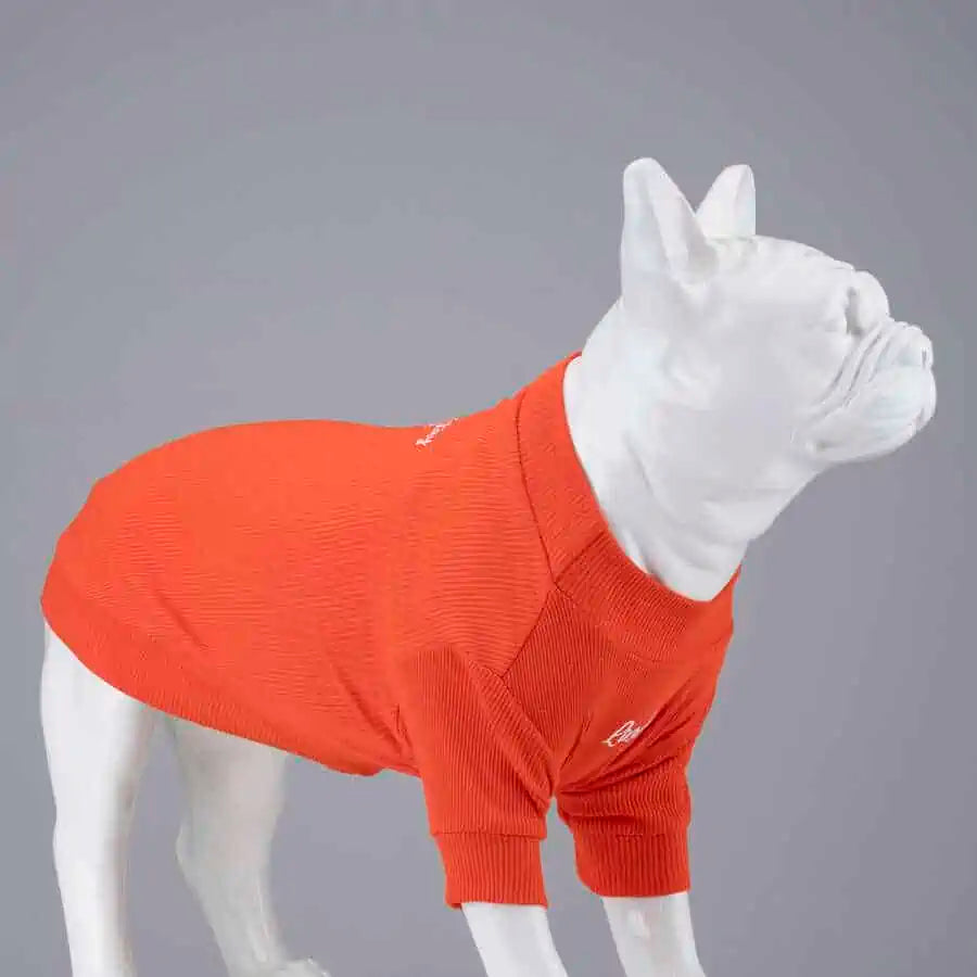 FLEX ALWAYS STAY FREE KÜÇÜK VE ORTA IRK KÖPEK TSHIRT
