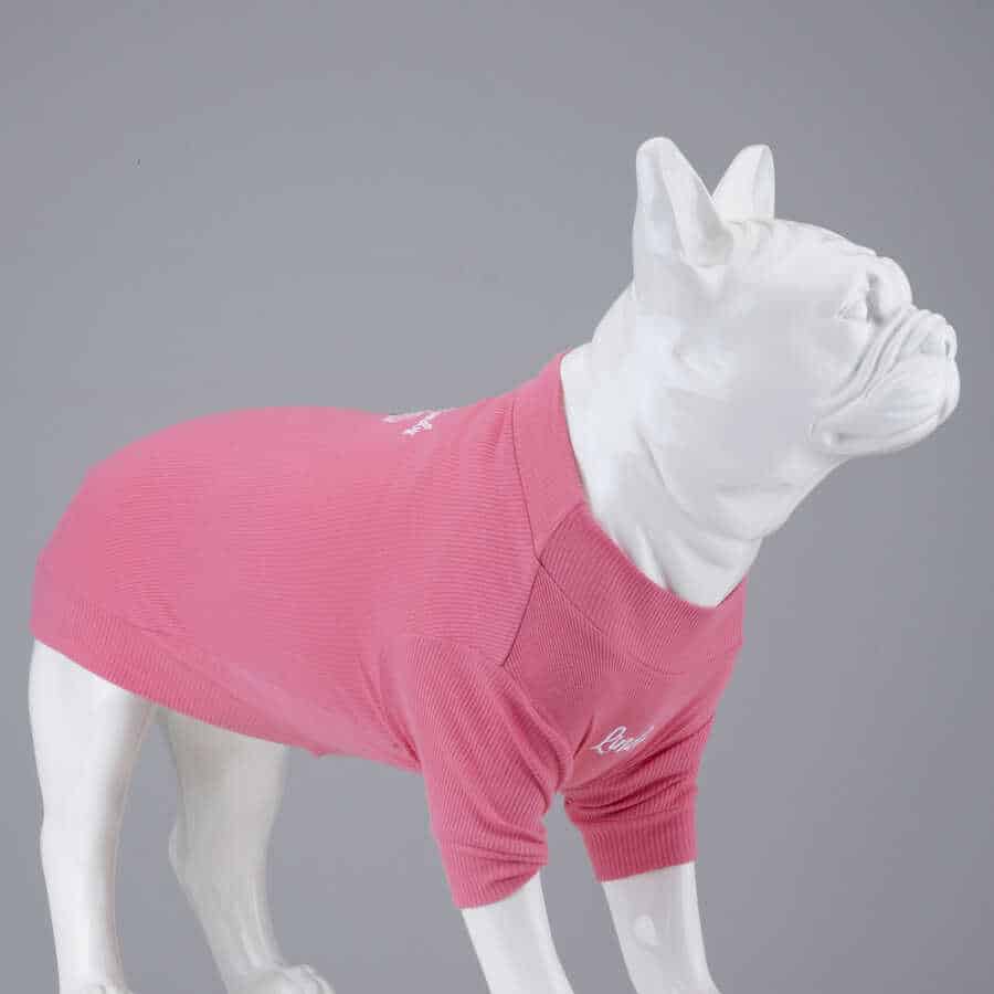 COTTON DOG CANDY
