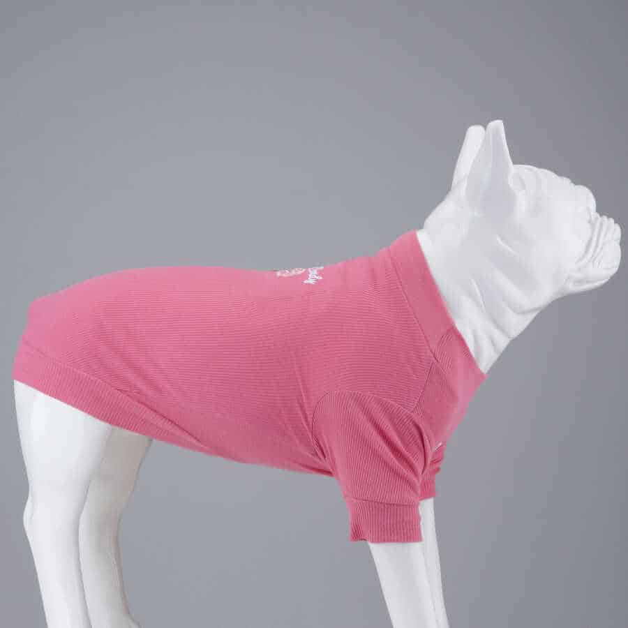 COTTON DOG CANDY