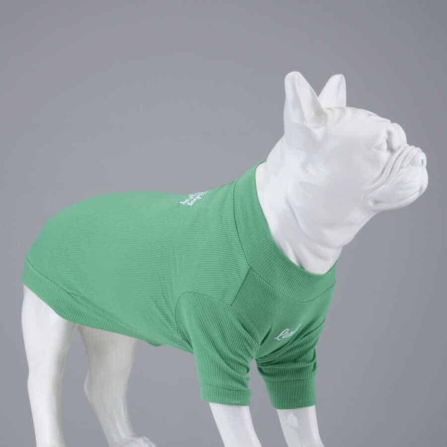 MAKE TODAY DOG AMAZING