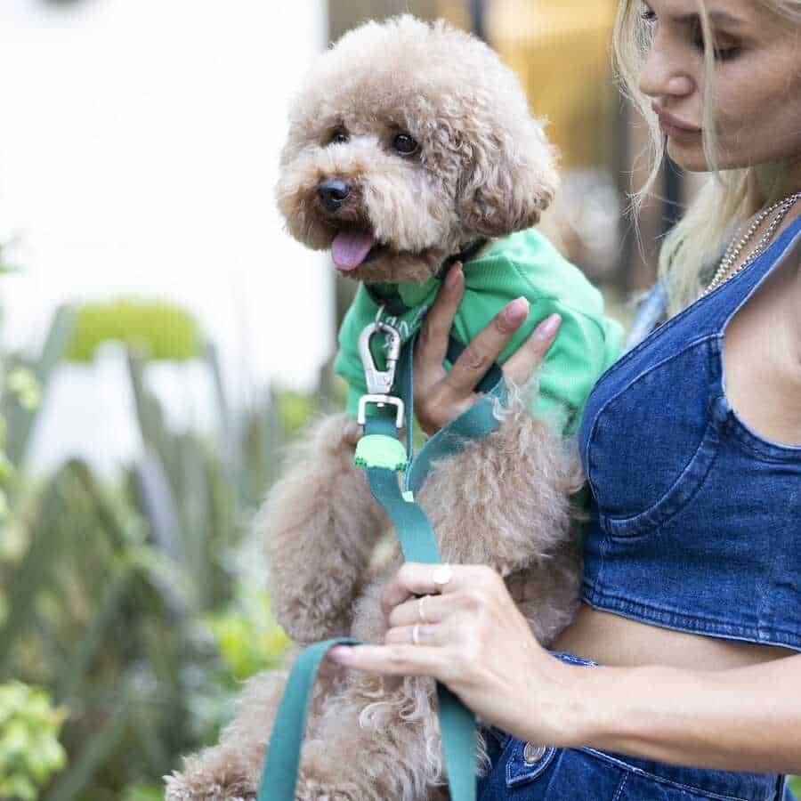 MAKE TODAY DOG AMAZING