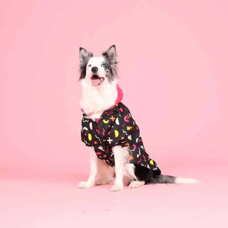 JOY DOG RAINCOAT