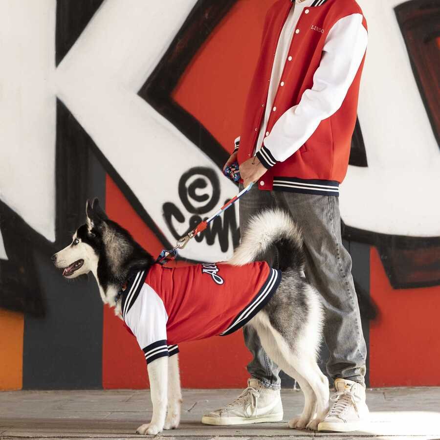 DOG COLLEGE ALLSTAR PEOPLE