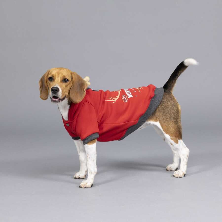 North Deer Red Sweattshirt