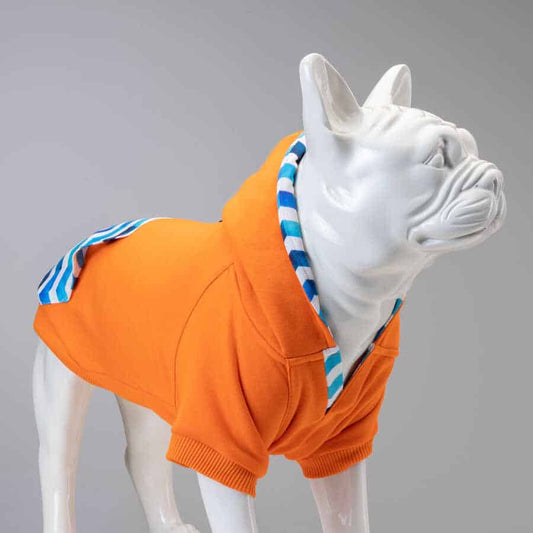 SYDNEY KÖPEK SWEATSHIRT