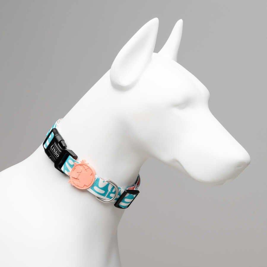 Touch Dog Collar