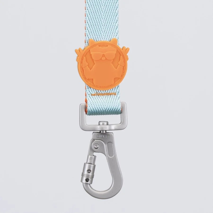 LİNDO URBAN GLOW MINT GEZDİRME TASMASI