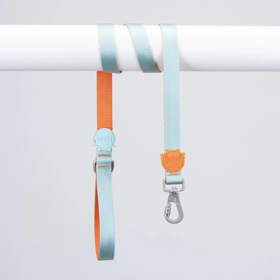 LİNDO URBAN GLOW MINT GEZDİRME TASMASI