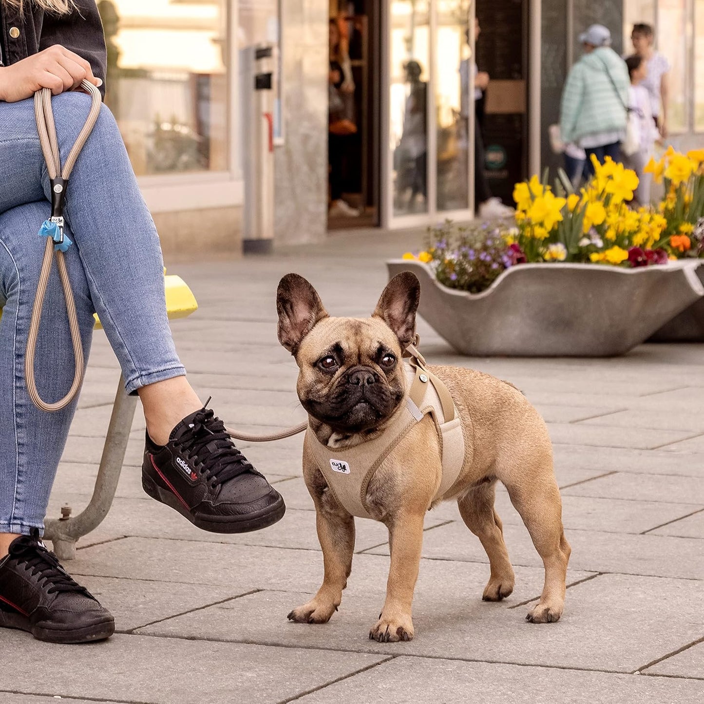 CURLI VEST HARNESS CURLI CLASP CORD TAN GÖĞÜS TASMAI