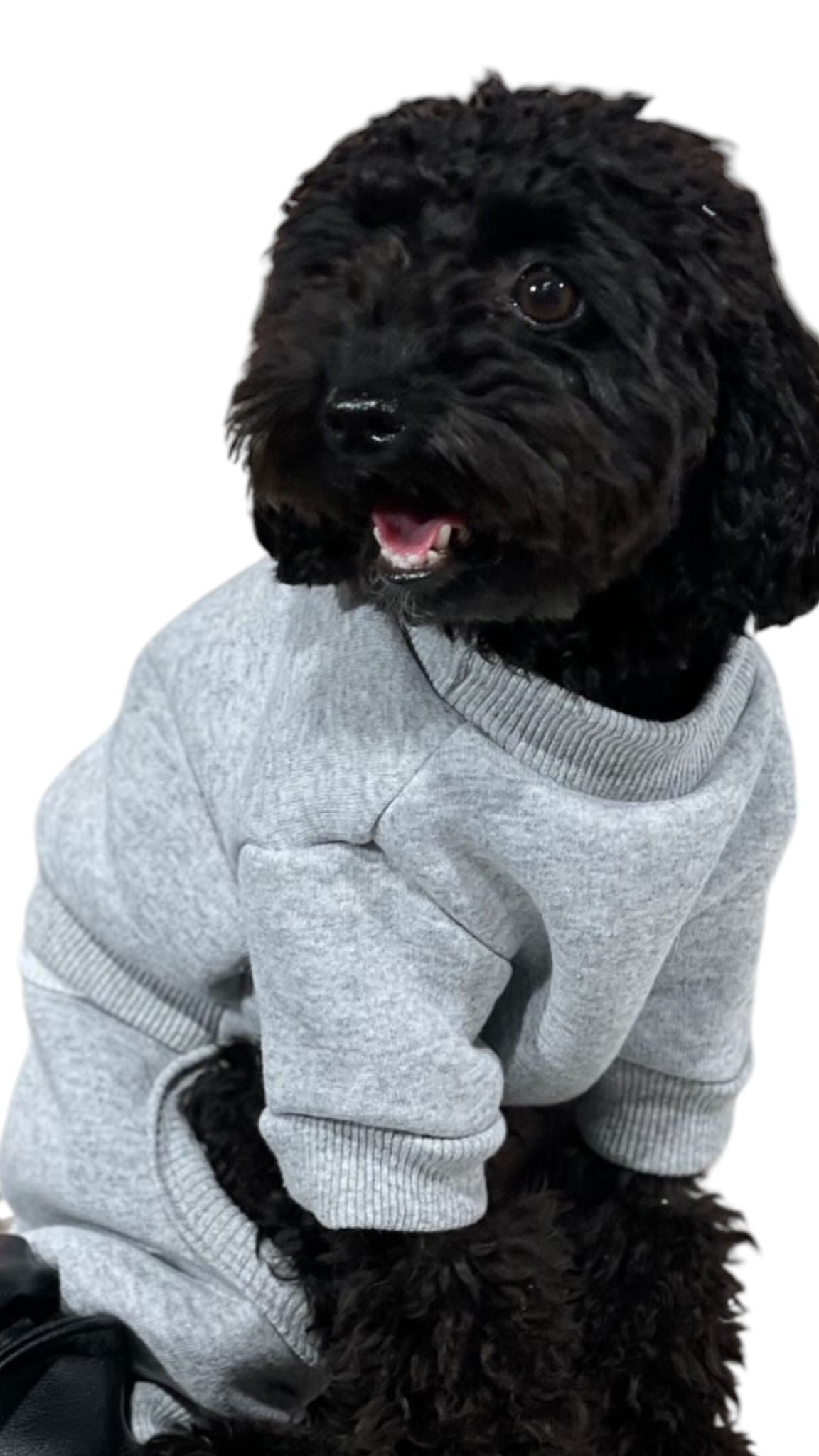 SWEAT DOG SLOPE