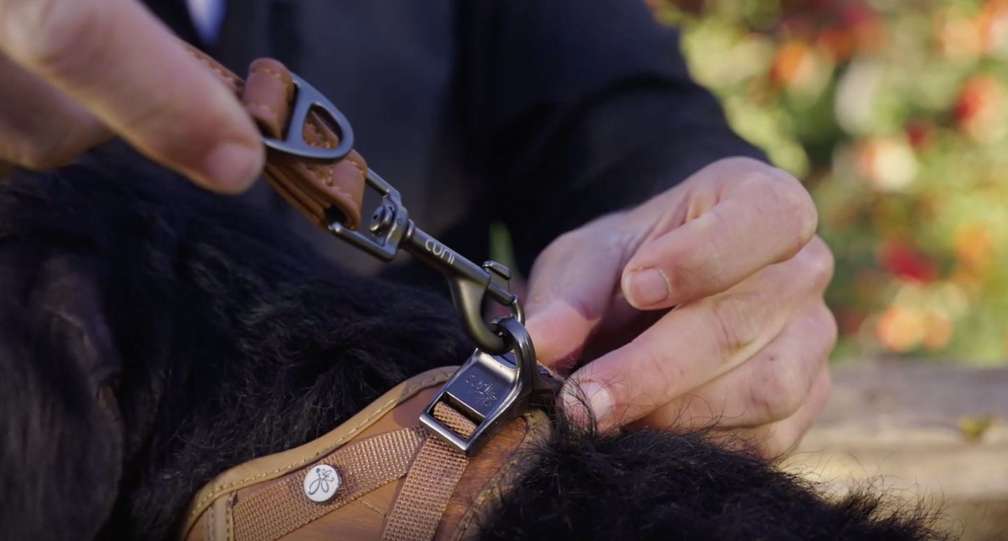 Curli Apple Leather Adjustable Dog Leash Brown