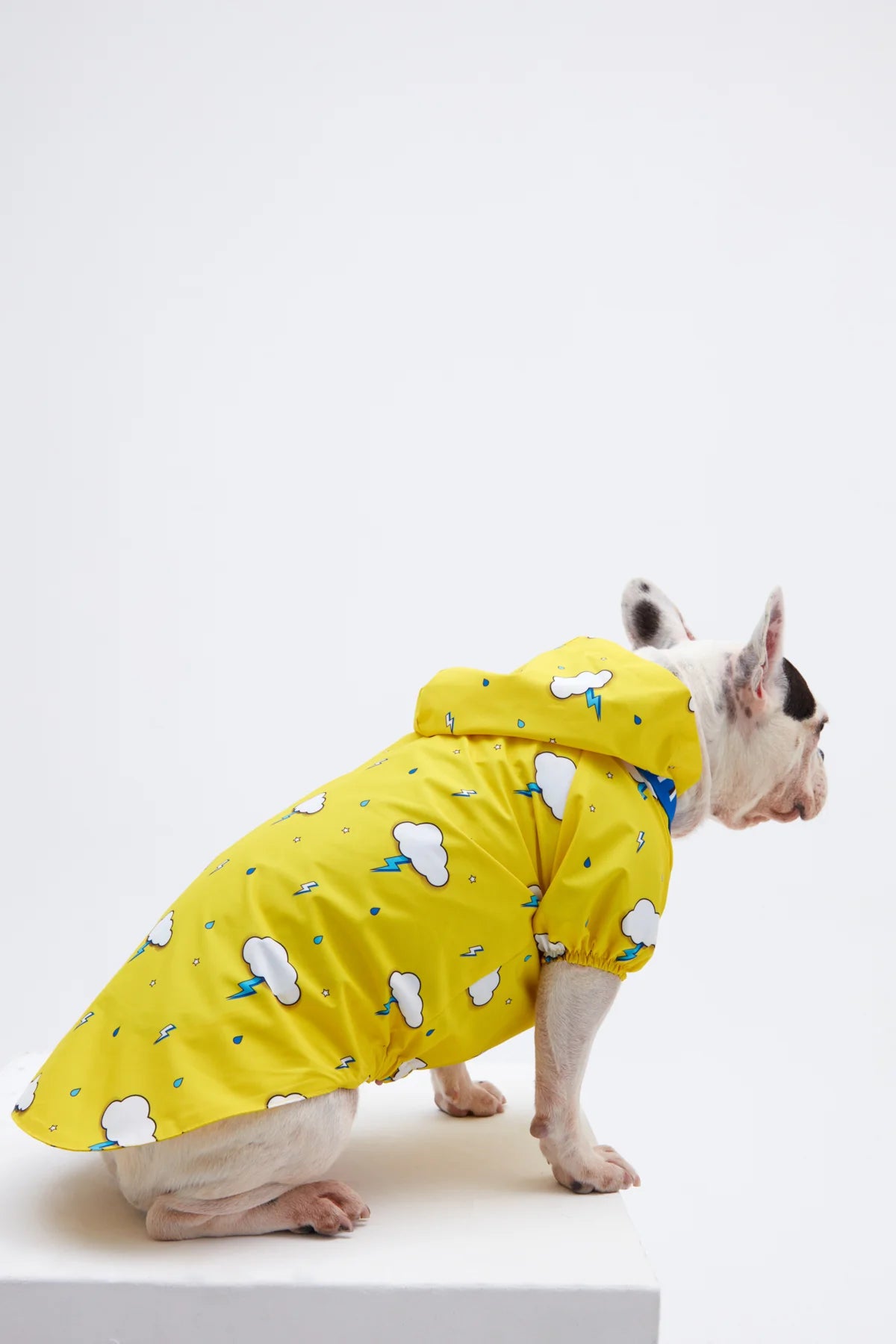 Yellow Cloud Dog Raincoat