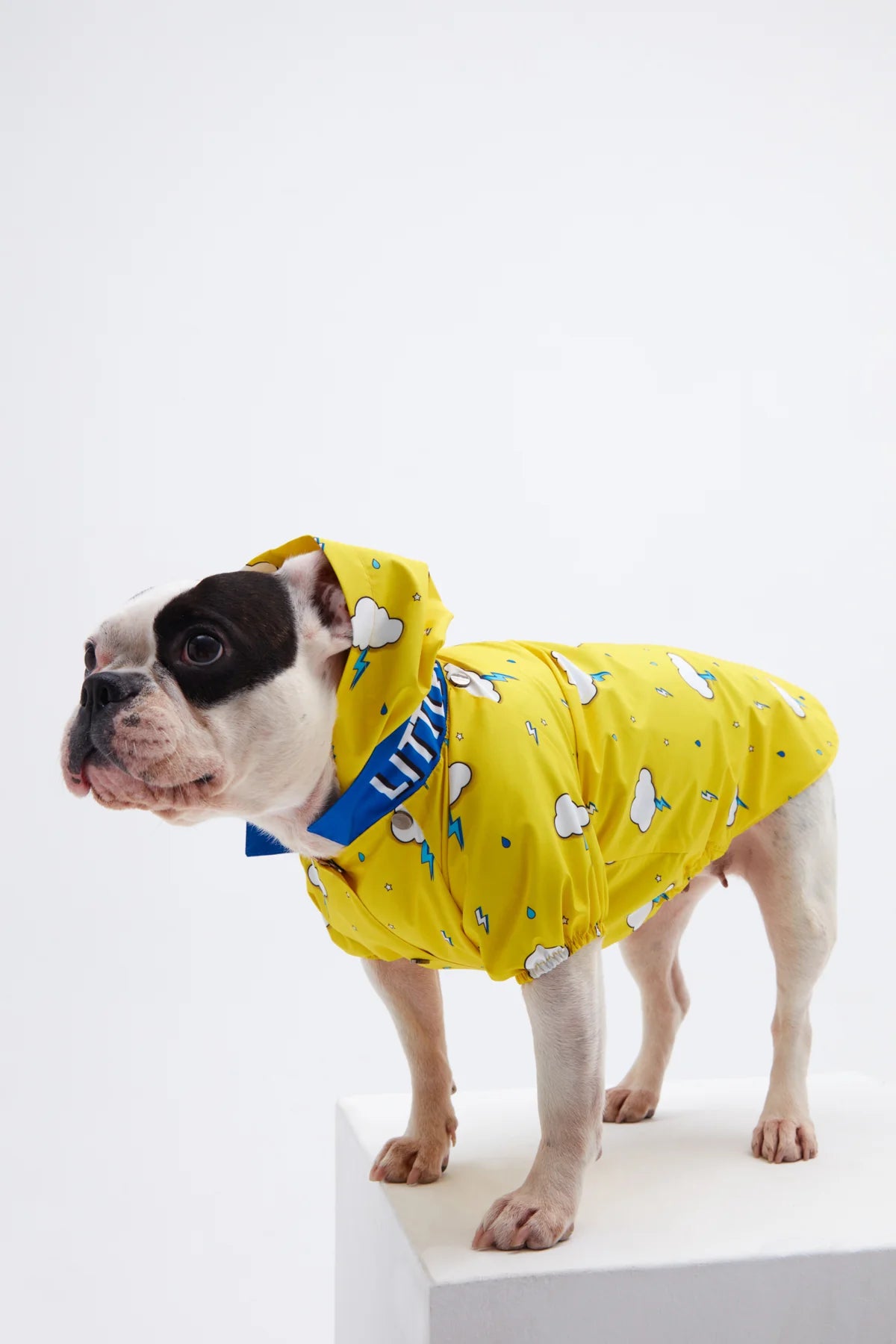 Yellow Cloud Dog Raincoat