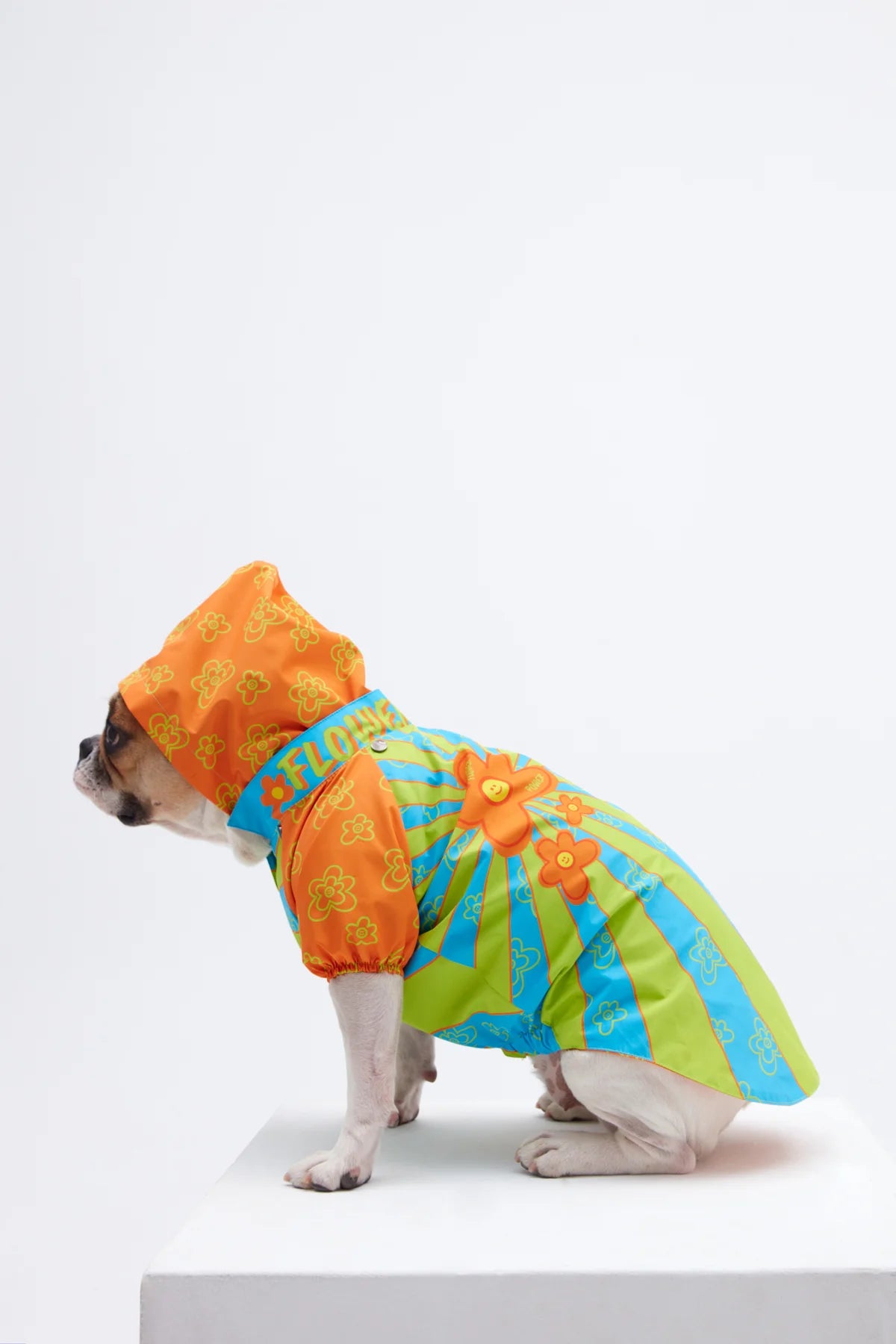 Funky Flower Dog Raincoat