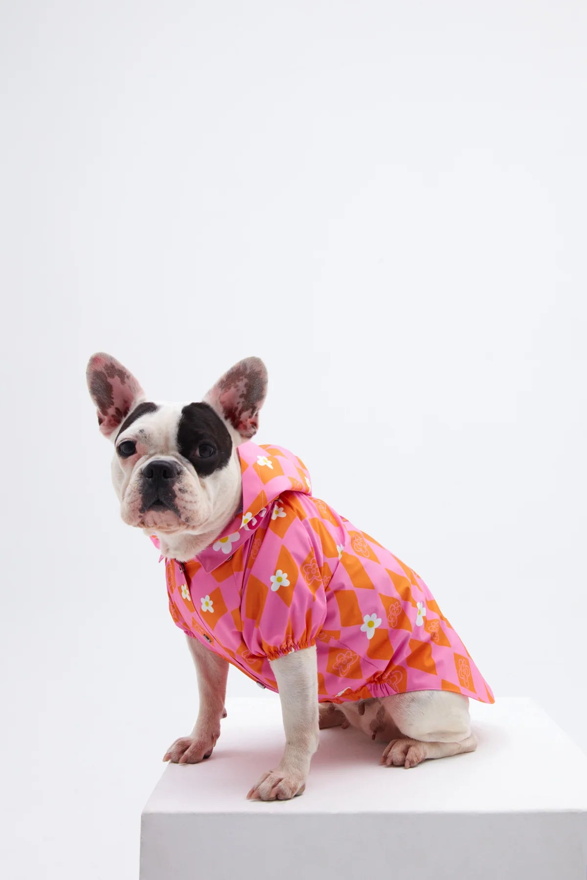 Orange Pink Checkered Dog Raincoat