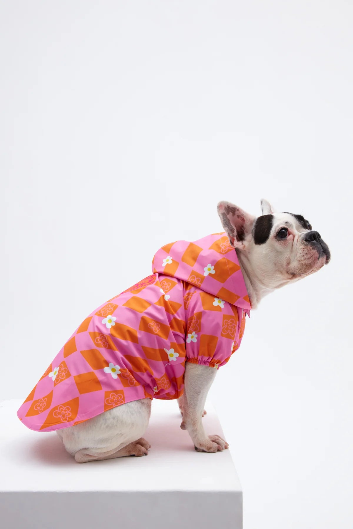 Orange Pink Checkered Dog Raincoat