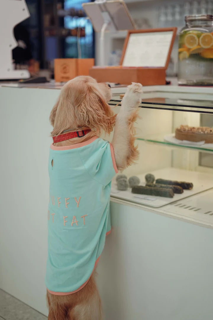 Amalfi Dog T-Shirt - Aqua Green