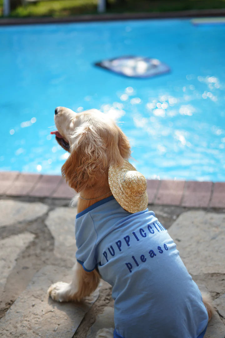 Amalfi Dog T-Shirt - Blue