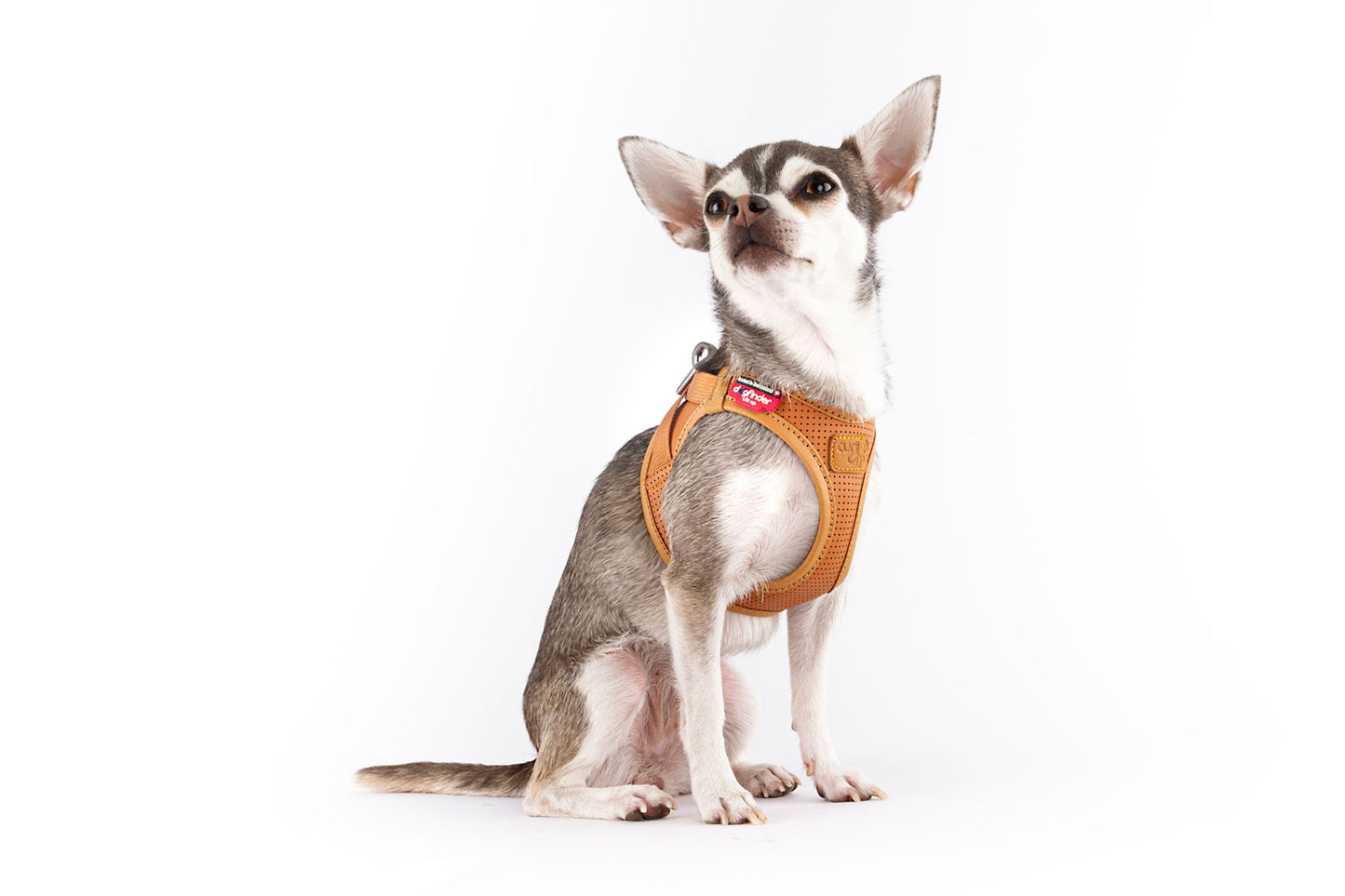 Curli Apple Leather Dog Harness Brown