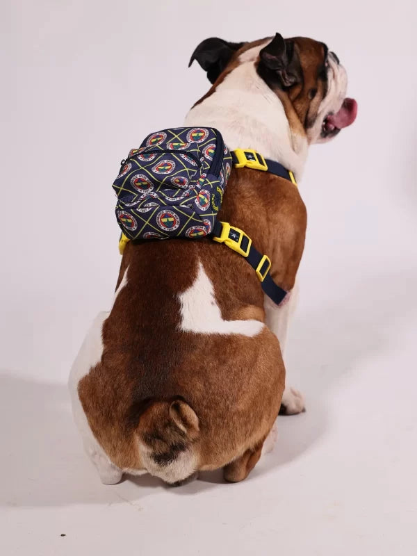 Fenerbahce Licensed Dog Harness with Bag