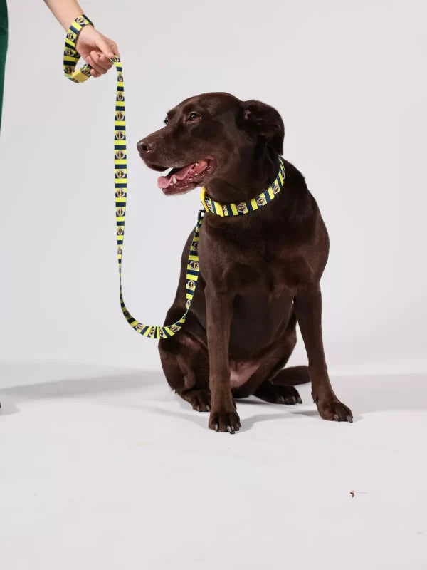 Fenerbahce Licensed Dog Walking Leash, Walking Leash, With Rod