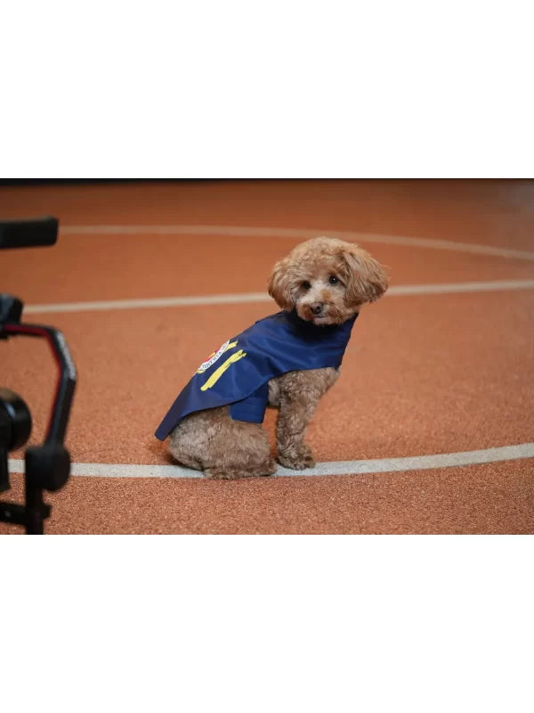 Fenerbahce Licensed Dog Raincoat