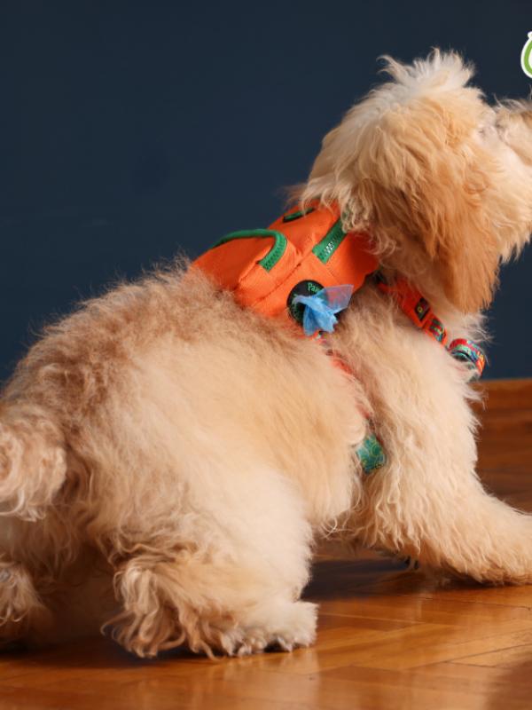 PAWLOOK ORANGE DOG BAG LEASH SET