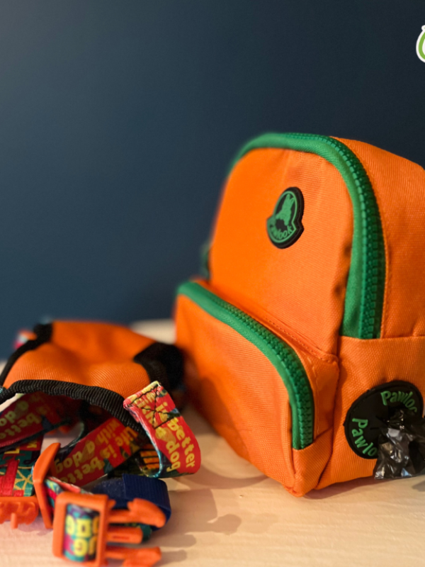 PAWLOOK ORANGE DOG BAG LEASH SET