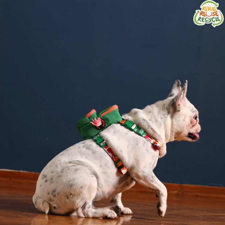 PAWLOOK GREEN DOG BAG LEASH SET