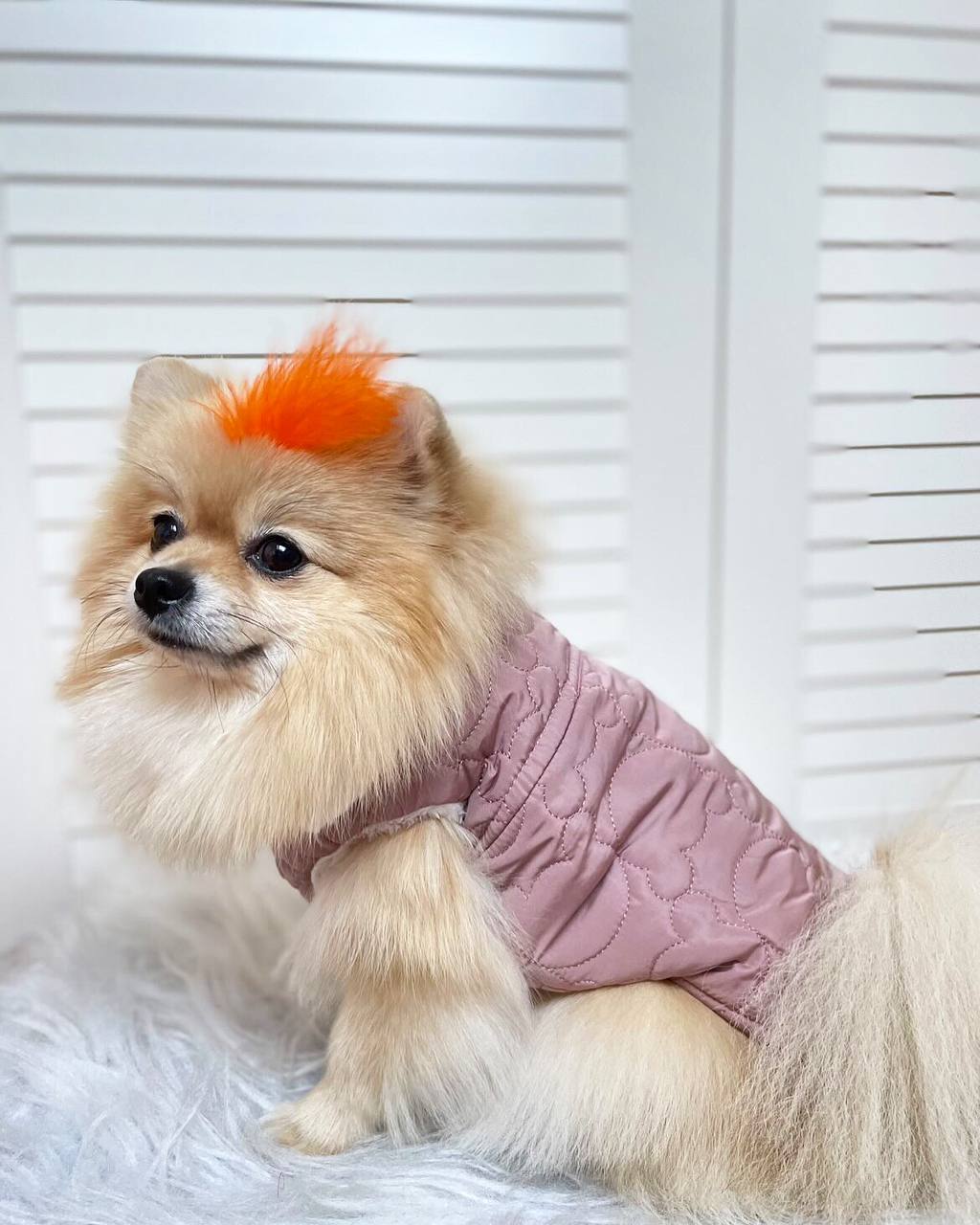 Puffer Vest Pink Dog Vest Coat
